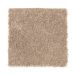 Mohawk Excess I Velvet Brown