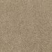 Mohawk Delightful Blend Perfect Taupe