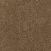 Mohawk Delightful Blend Piano Brown