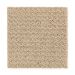 Mohawk Forward Thought Ivory Beige