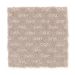 Mohawk It List Hazy Taupe