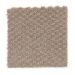 Mohawk Dynamo Taupe Treasure