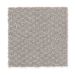 Mohawk Dynamo Putty Gray