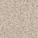 Mohawk Wanderlust - Fleck Angelica