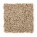 Mohawk Palmetto Point Fleck 17 F