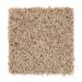 Mohawk Palmetto Point Fleck 11 F