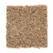 Mohawk Palmetto Point Fleck 12 F