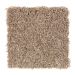 Mohawk Glamourous Charm Warm Cider