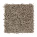 Mohawk Fine Balance Cobble Path