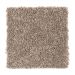 Mohawk Tonal Allure Woodstained