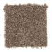 Mohawk Tonal Allure Autumn Glimmer