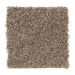 Mohawk Tonal Allure Earth Jewels