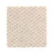 Mohawk Home Creation Warm Almond