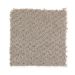 Mohawk Home Creation Soothing Neutral