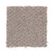 Mohawk Home Creation Taupe Whisper