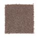 Mohawk Home Creation Velvet Brown