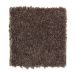 Mohawk Instantly Chic I Teak