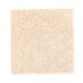 Mohawk Design Inspiration Seashell