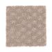 Mohawk Distinct Tradition Smokey Taupe