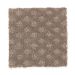 Mohawk Distinct Tradition Brownstone Collection