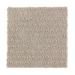 Mohawk Natural Intuition Toasted Almond