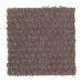 Mohawk Natural Intuition Cocoa