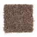 Mohawk Sophisticated Touch Sweet Chestnut
