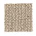 Mohawk Joyful Revelation Warm Almond