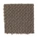 Mohawk Joyful Revelation Weathered Wood