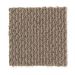 Mohawk Joyful Revelation Safari Tan