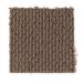 Mohawk Joyful Revelation Velvet Brown