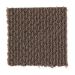 Mohawk Joyful Revelation Tortoise Shell
