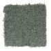 Mohawk Sharp Selection Spanish Moss