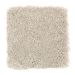 Mohawk Intriguing Array Birch Bark
