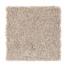 Mohawk Intriguing Array Brushed Suede