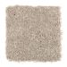Mohawk Intriguing Array Oyster Shell