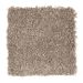 Mohawk Intriguing Array Weathered Wood