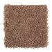 Mohawk Waterview Pine Cone