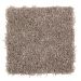 Mohawk Waterview Cobble Path Collection