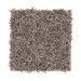 Mohawk Subtle Touch Winter Delta