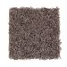 Mohawk Subtle Touch German Chocolate