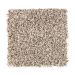 Mohawk Earthen Elegance Macadamia Collection