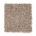 Mohawk Desert Dawn Sandswept