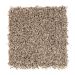 Mohawk Desert Dawn Oakridge Collection