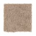 Mohawk Easy Decoration Sandlot