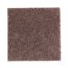 Mohawk Easy Decoration Deep Fudge Collection