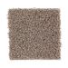 Mohawk Beige And Beyond Redstone Lasso