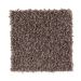 Mohawk Beige And Beyond Molten Penny