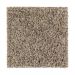 Mohawk Perfect Match Neutral Ground