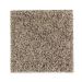 Mohawk Savvy Approach Neutral Ground Collection